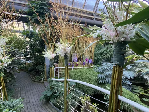 Výstava orchidejí, fotografie 11